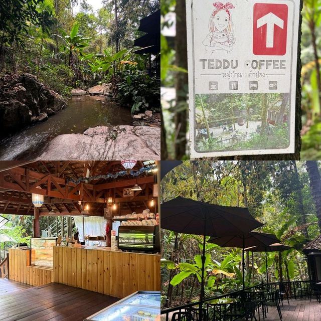 Teddu Coffee&nbsp;
