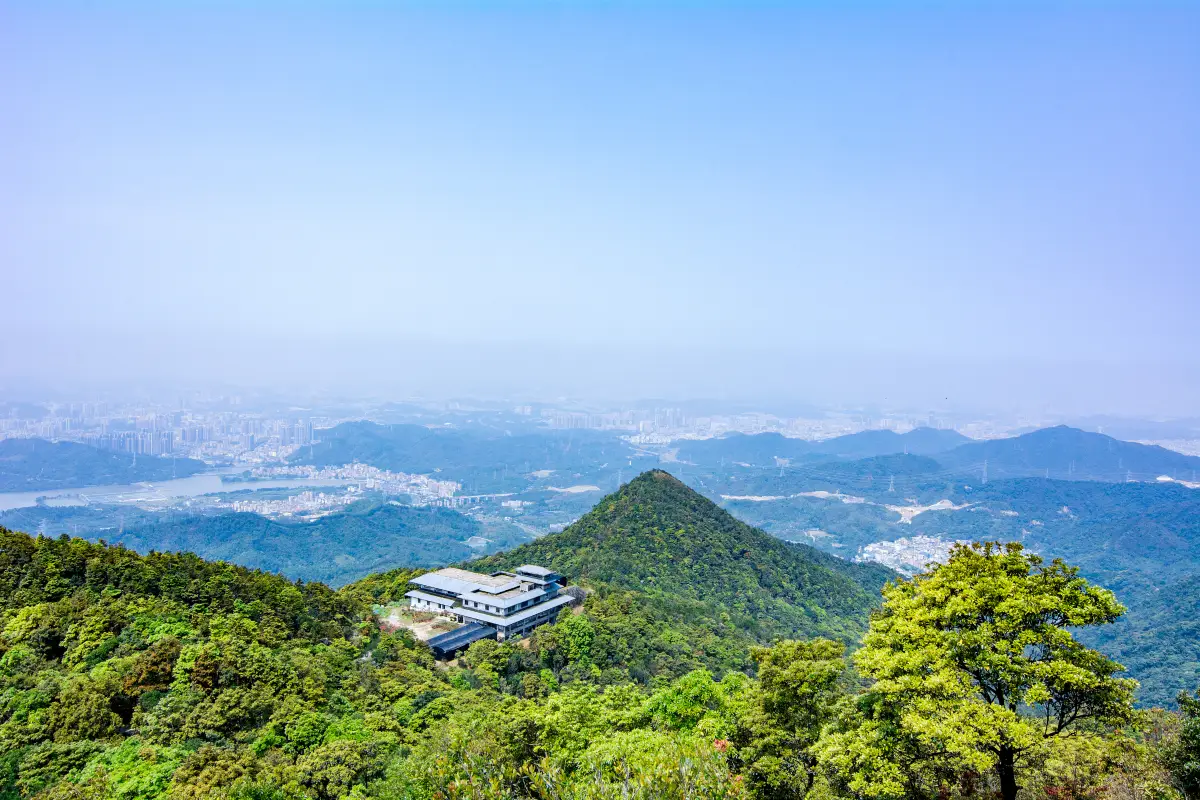 梧桐山, 梧桐山主峰