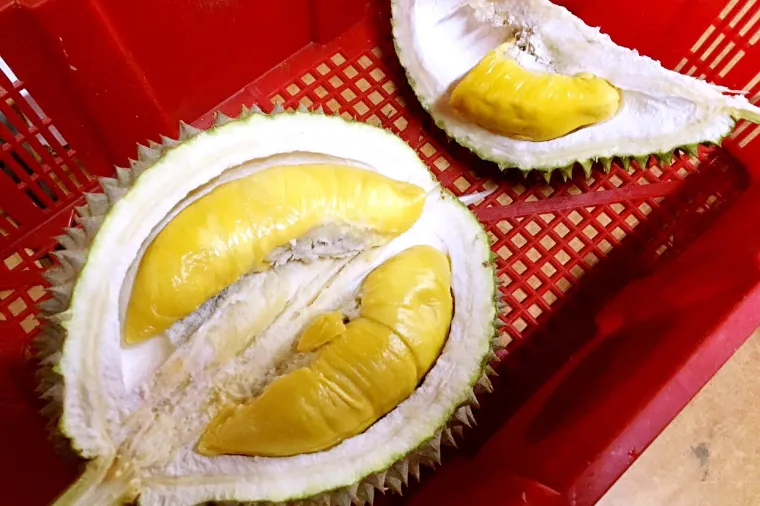 Enjoying durians