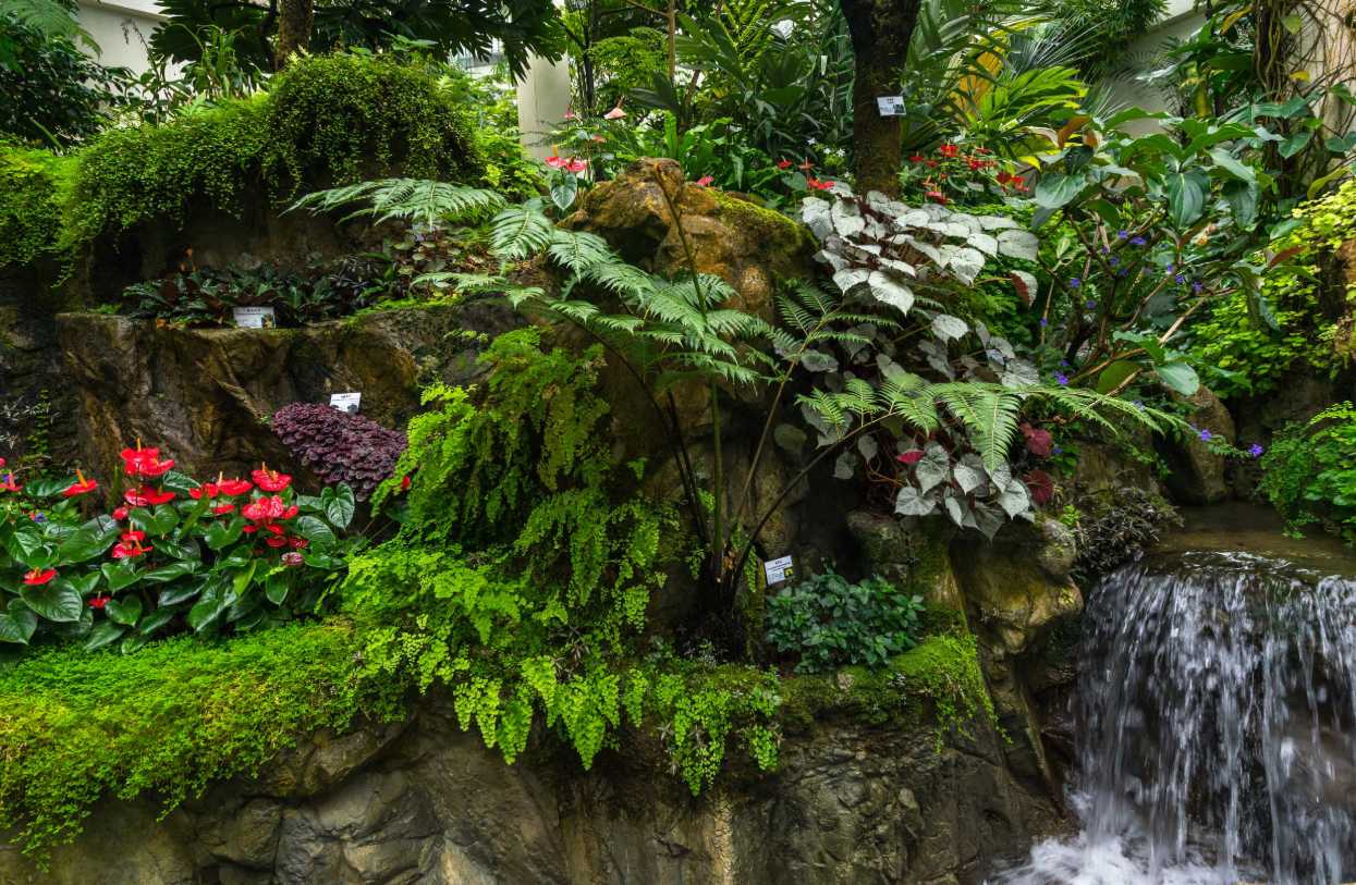 พาลูกเที่ยวฮ่องกง