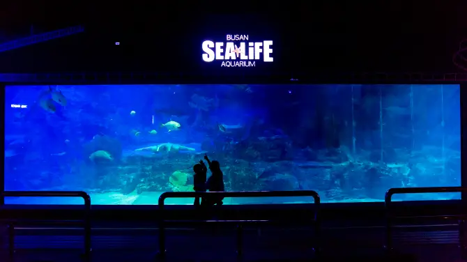 KTX 釜山站 釜山 SEA LIFE 水族館