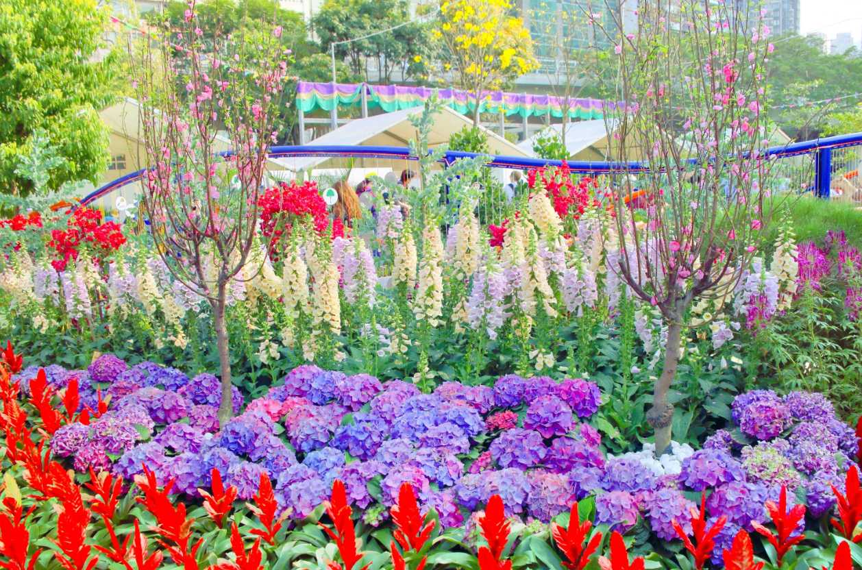 พาลูกเที่ยวฮ่องกง