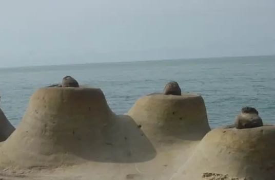 野柳地質公園, 景點, 燭臺石