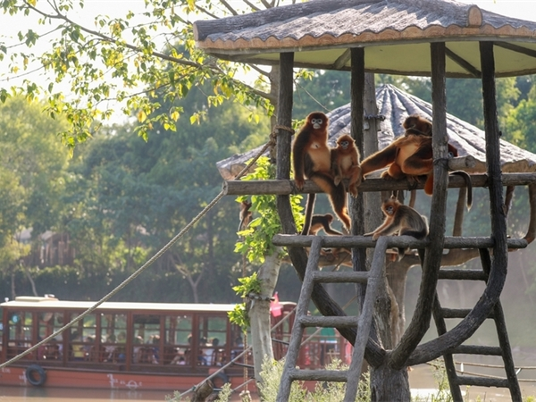 上海野生動物園