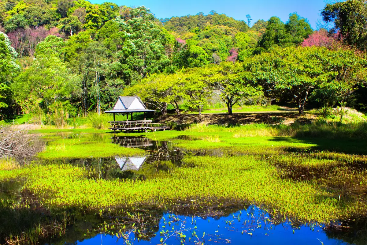 ขุนช่างเคี่ยน