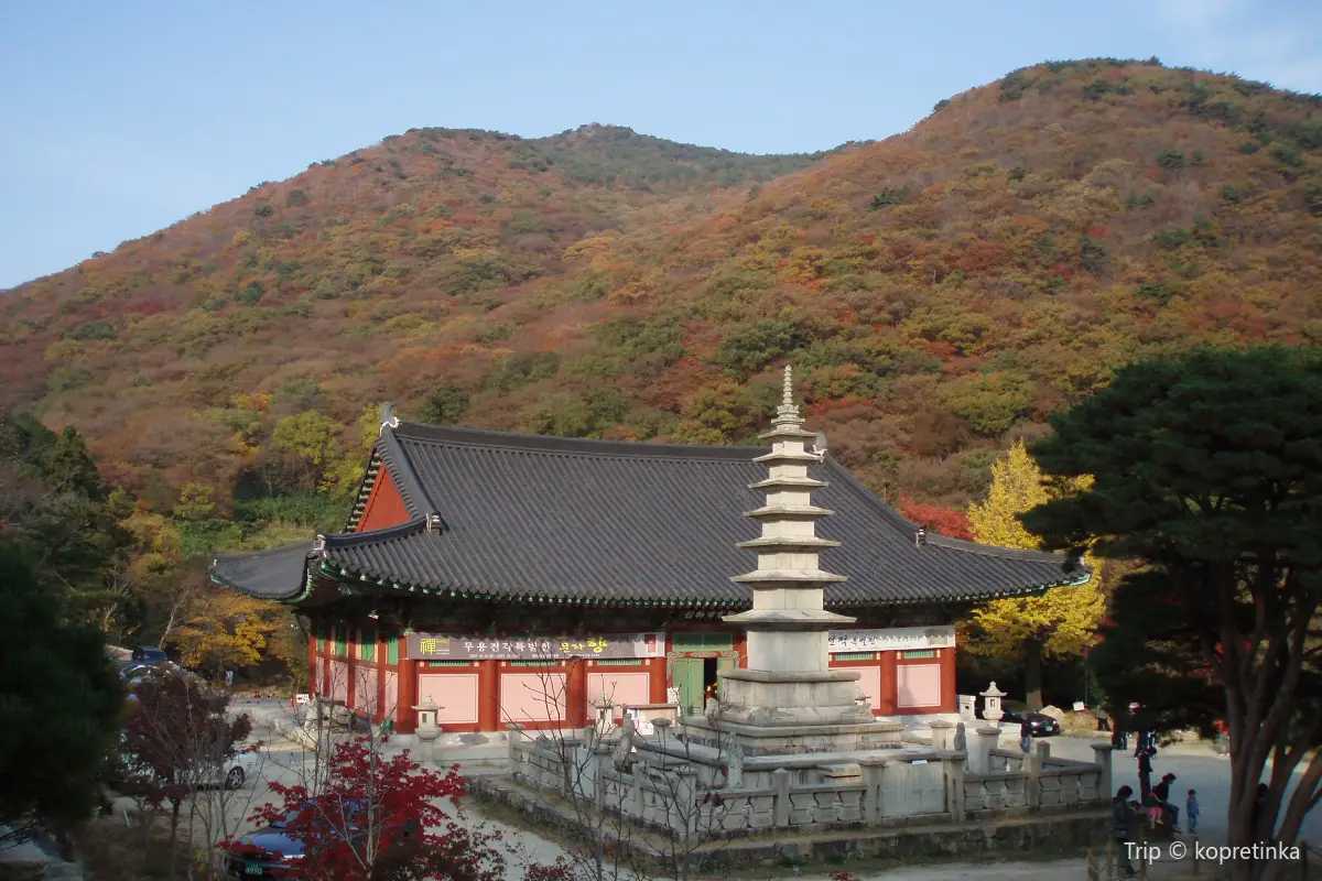 金井山