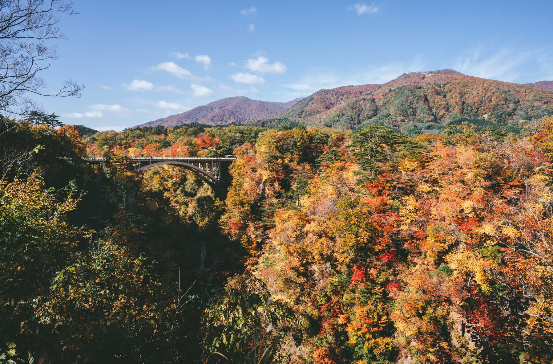 日本東北賞楓景點｜宮城 - 鳴子峽