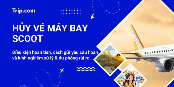 Hủy vé máy bay Scoot: Điều kiện hoàn tiền, phí và cách thực hiện | Trip.com
