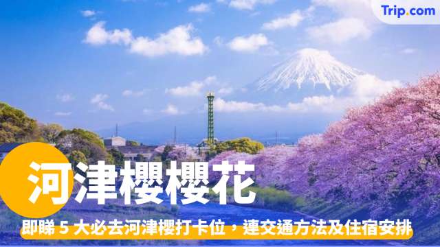 河津櫻櫻花2026：即睇 5 大必去打卡位，連交通方法及住宿安排 | Trip.com