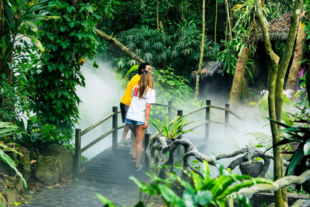 呀諾達熱帶雨林雨林谷
