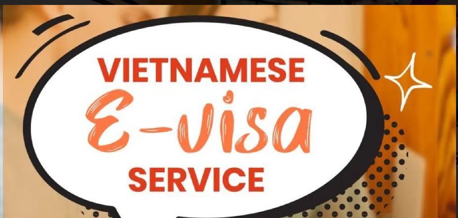 How to Check E-Visa Status 
