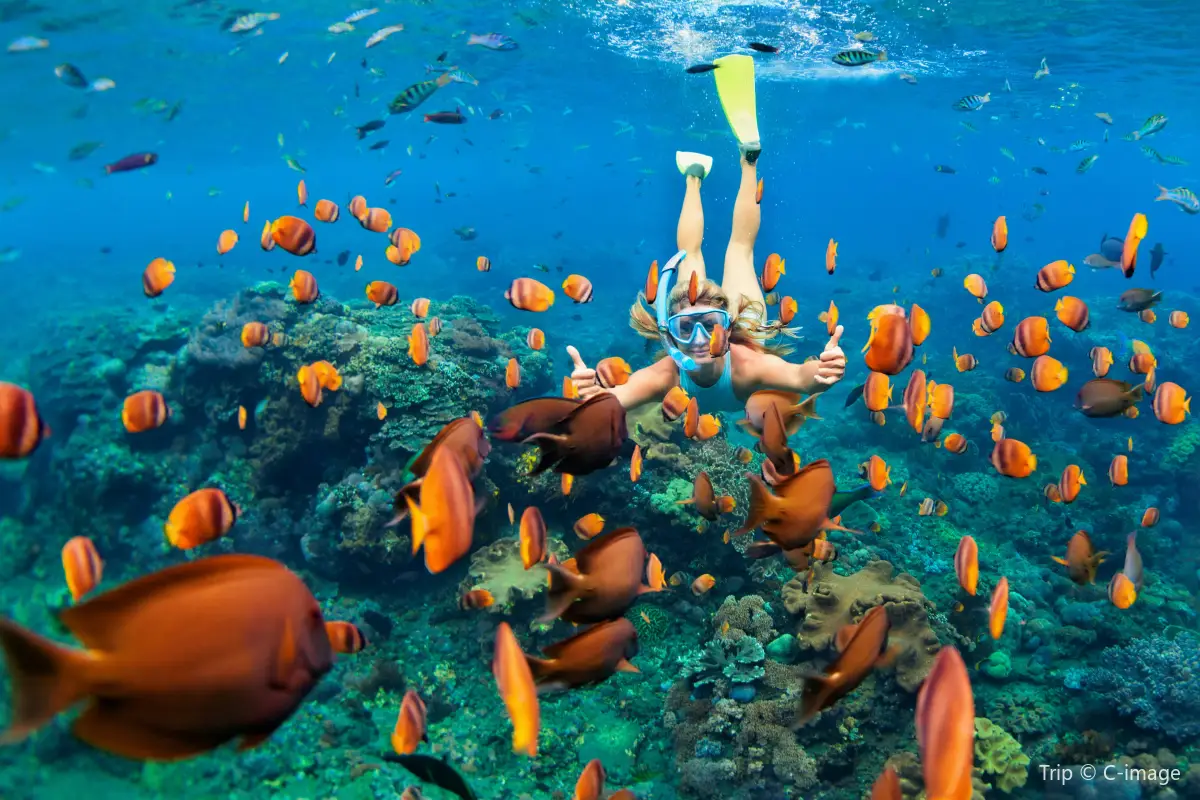 三亞潛水, 蜈支洲島