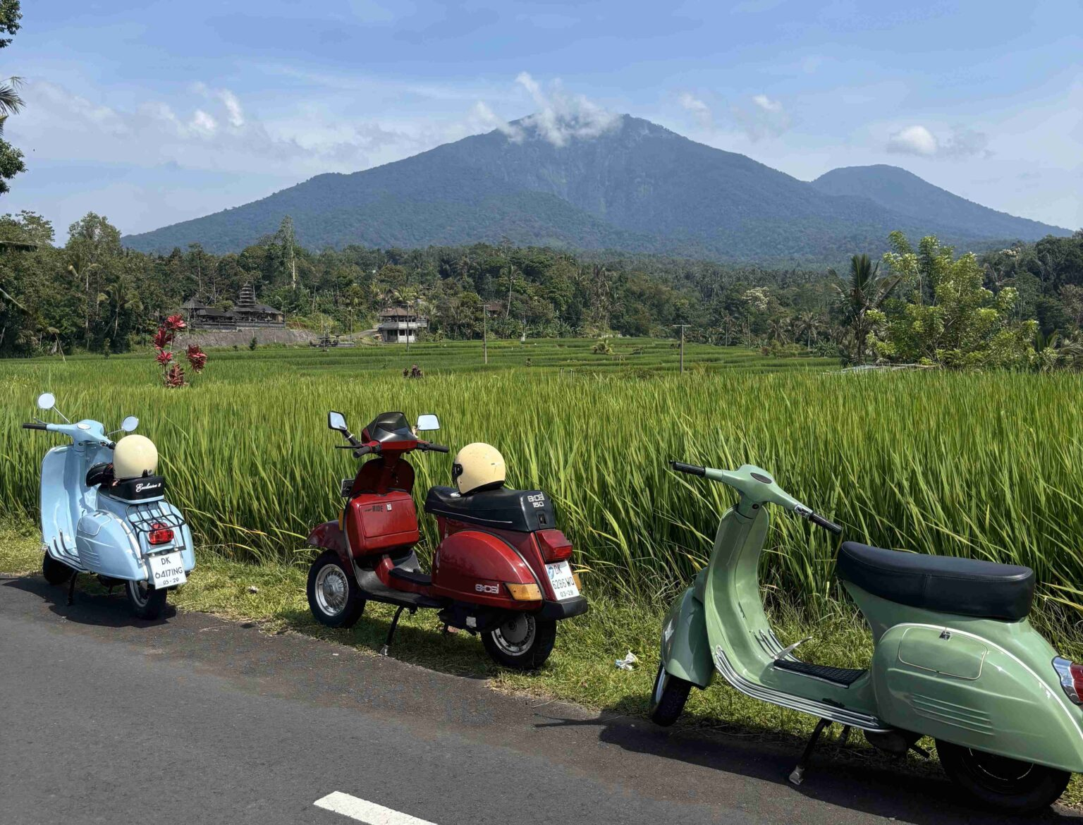 Some rented scooters parked by the ricefields scenery