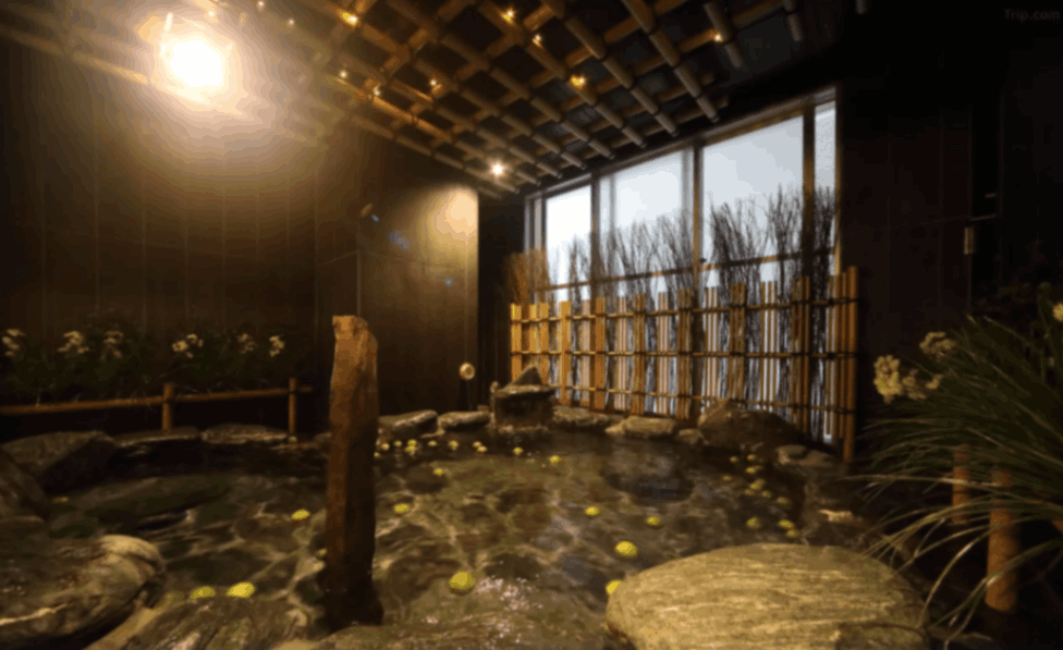 온야도 노노 난바