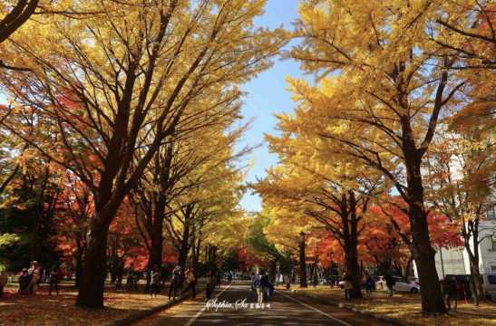 홋카이도 날씨 추천