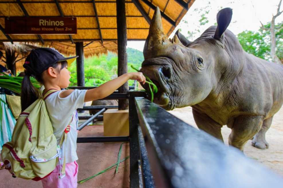สวนสัตว์เปิดเขาเขียว