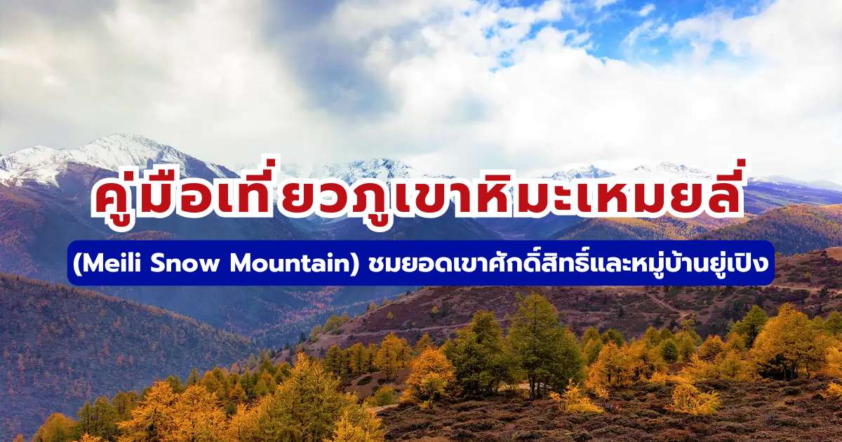 คู่มือเที่ยวภูเขาหิมะเหมยลี่ (Meili Snow Mountain)