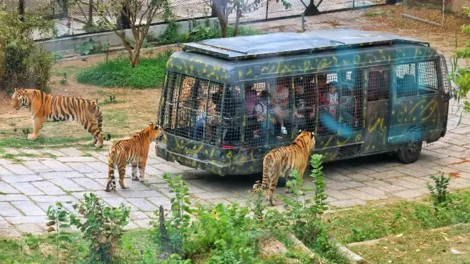 深圳動物園