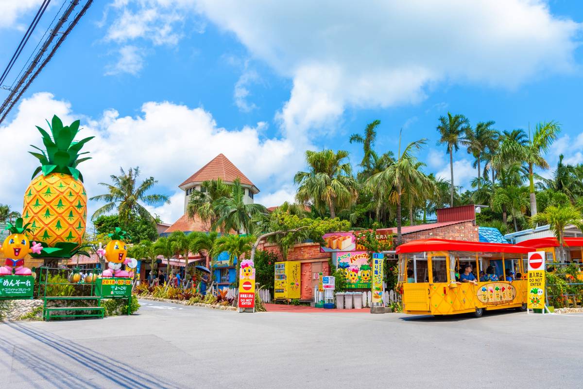 오키나와 버스투어 일정