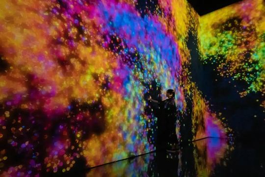 澳門 teamLab 超自然空間