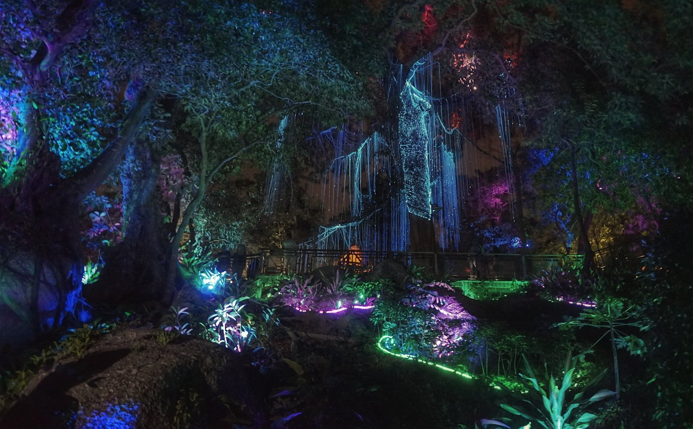 Avatar forest filled with lights of different colors