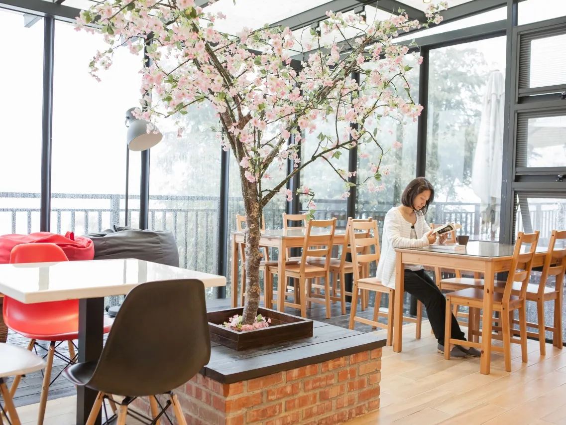 拉拉山住宿｜桃園雲山房民宿