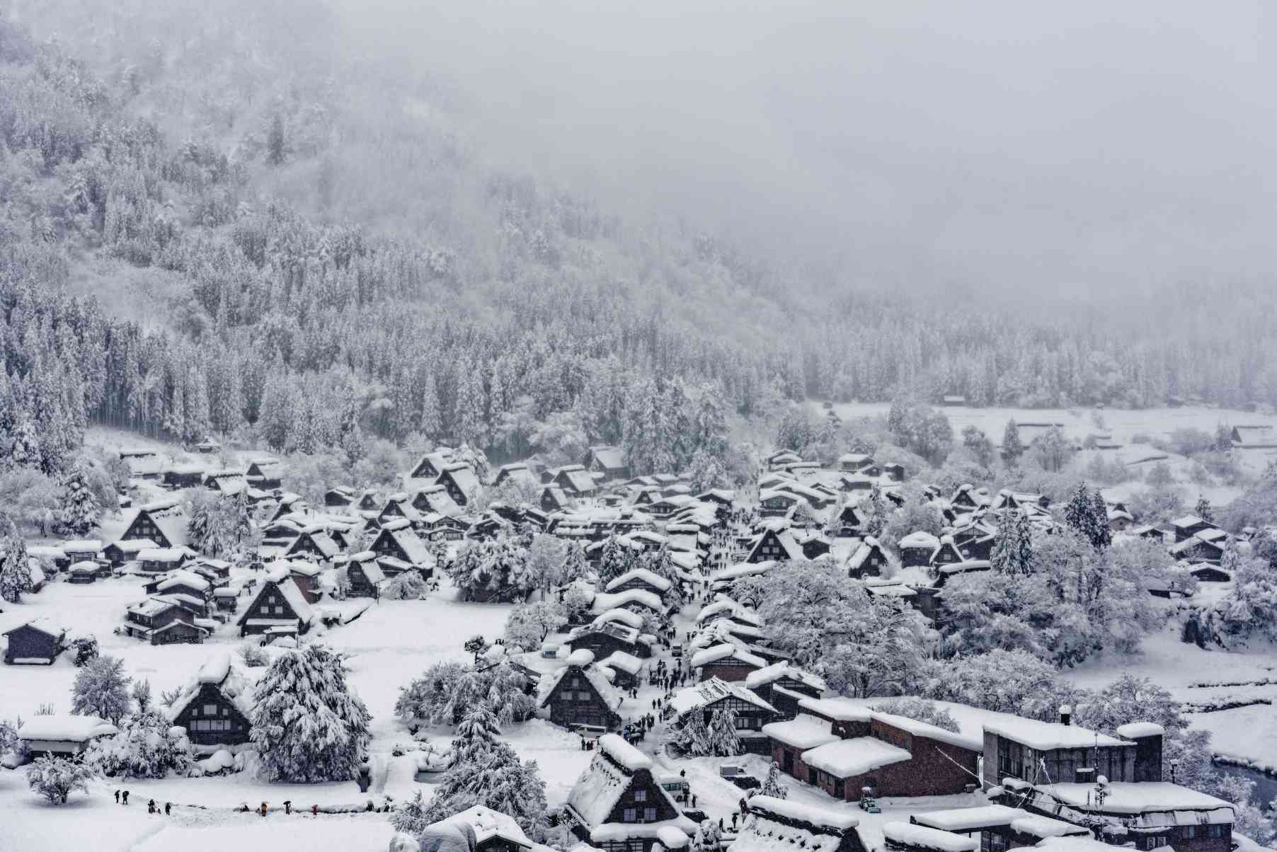 หมู่บ้านชิราคาวาโกะ - ที่เที่ยวญี่ปุ่นหน้าหนาว