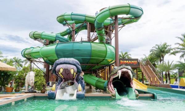 Jumanji Jungle Adventure