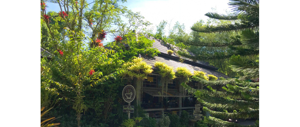 สวนนายดำจังหวัดชุมพร