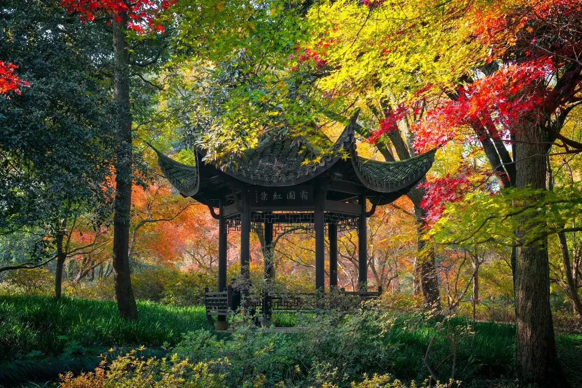 สวนพฤกษศาสตร์หางโจว