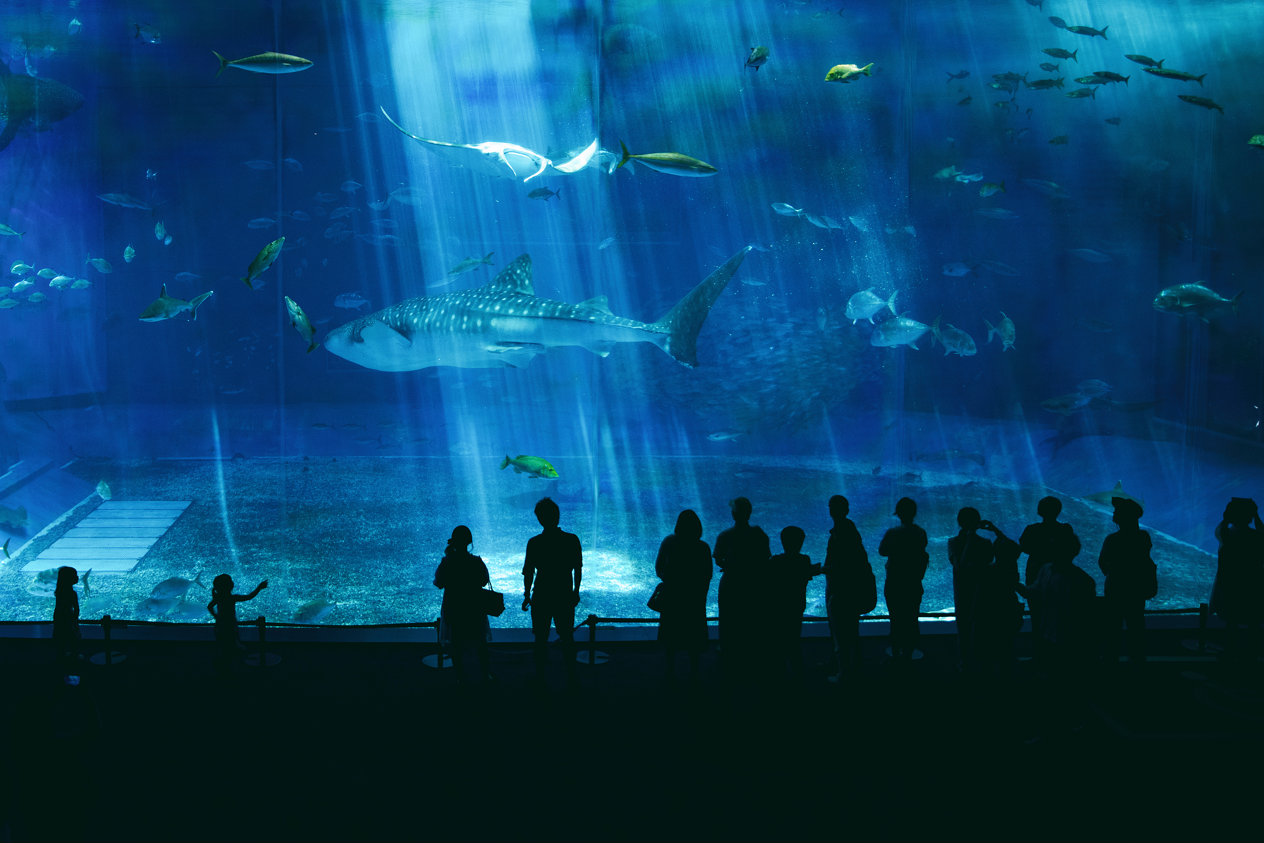 美麗海水族館