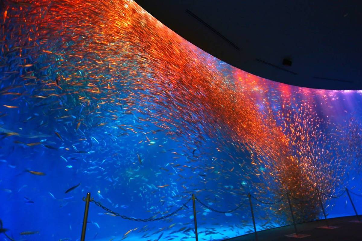 名古屋港水族館