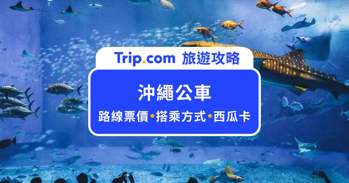 沖繩公車自由行攻略｜沖繩公車怎麼付款？Suica能刷嗎？熱門路線一次看 | Trip.com