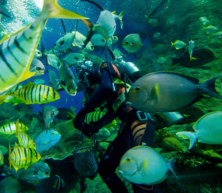 อันเดอร์วอเตอร์ เวิลด์ พัทยา