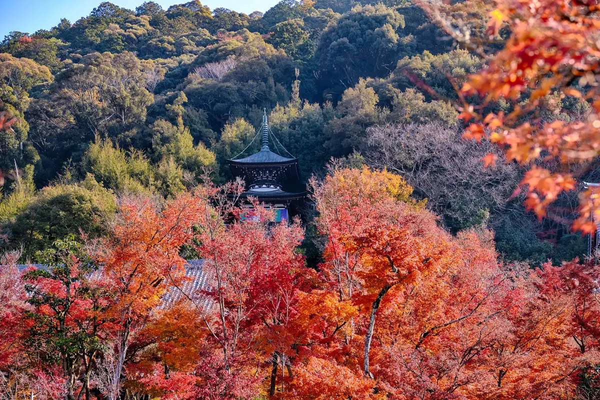 禪林寺（永觀堂）