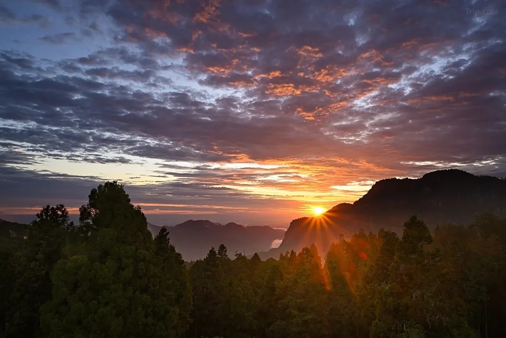 阿里山賓館設施 #1 觀景平台