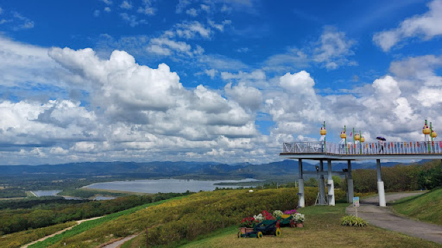 20. ทุ่งดอกบัวตอง แม่เมาะ