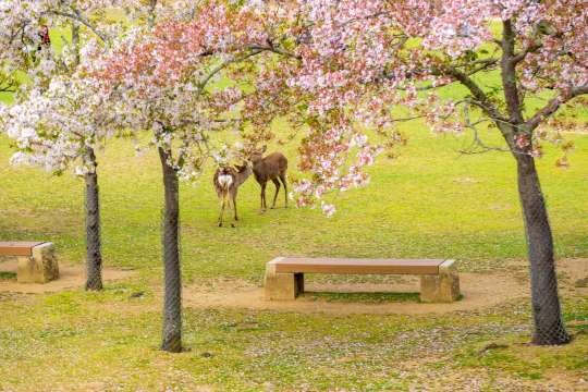 나라 당일치기 여행지 