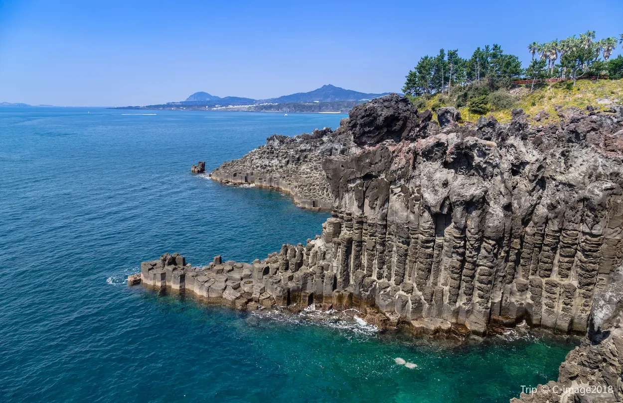 涉地可支 