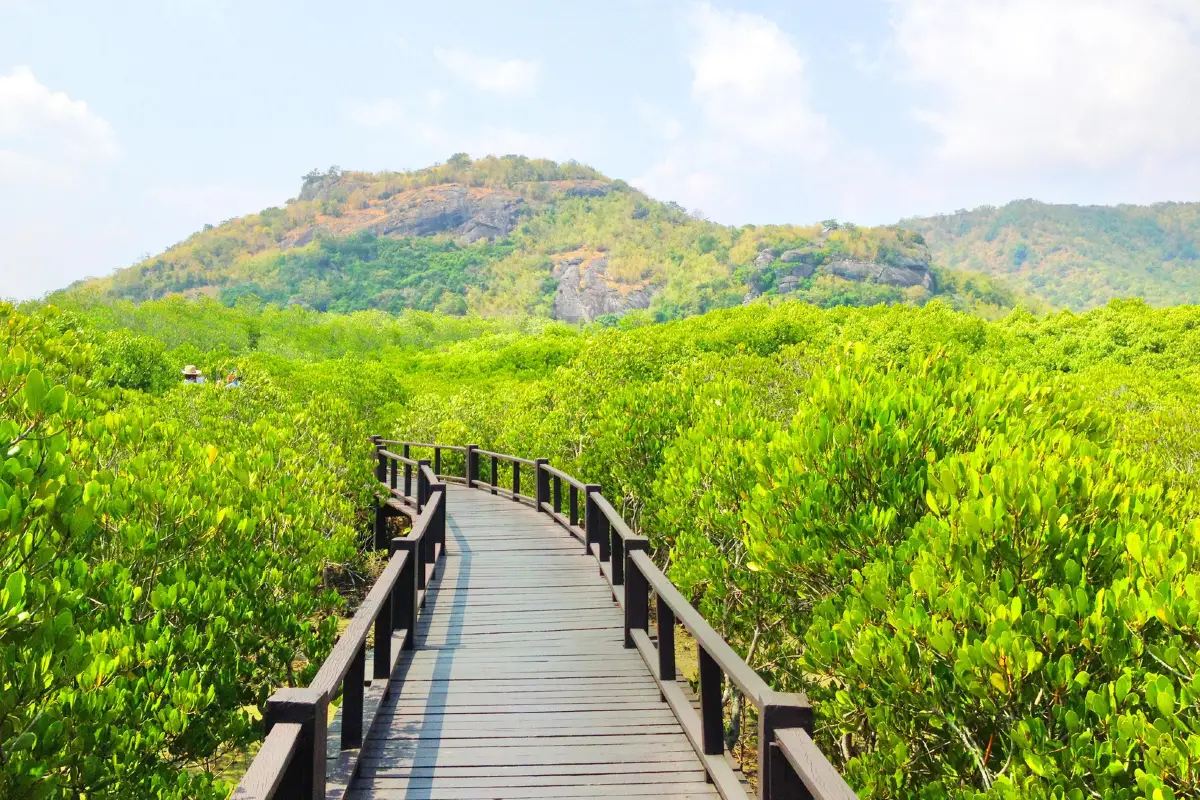 วนอุทยานปราณบุรี