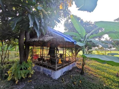 ศูนย์กสิกรรมธรรมชาติ บ้านดงตะเคียน