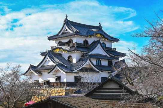 일본 소도시, 히코네