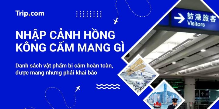 Nhập cảnh Hồng Kông cấm mang gì? Quy định & Lưu ý hải quan mới nhất 2026