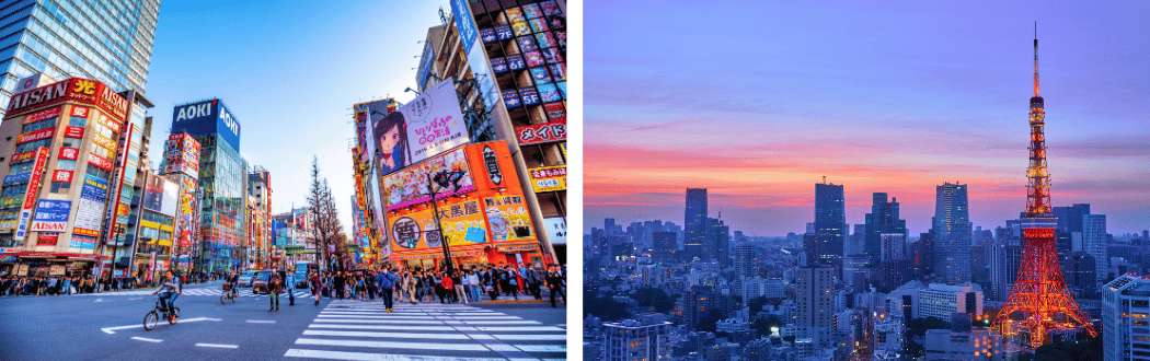 Barrio de Akihabara y Torre de Tokio al atardecer