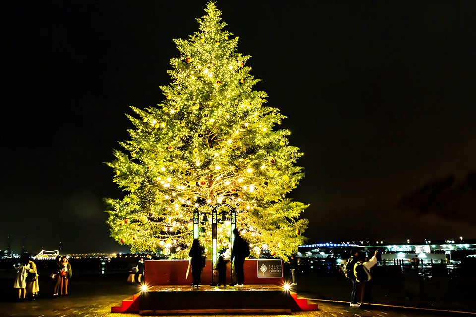 橫濱紅磚倉庫聖誕市集 2024 聖誕樹