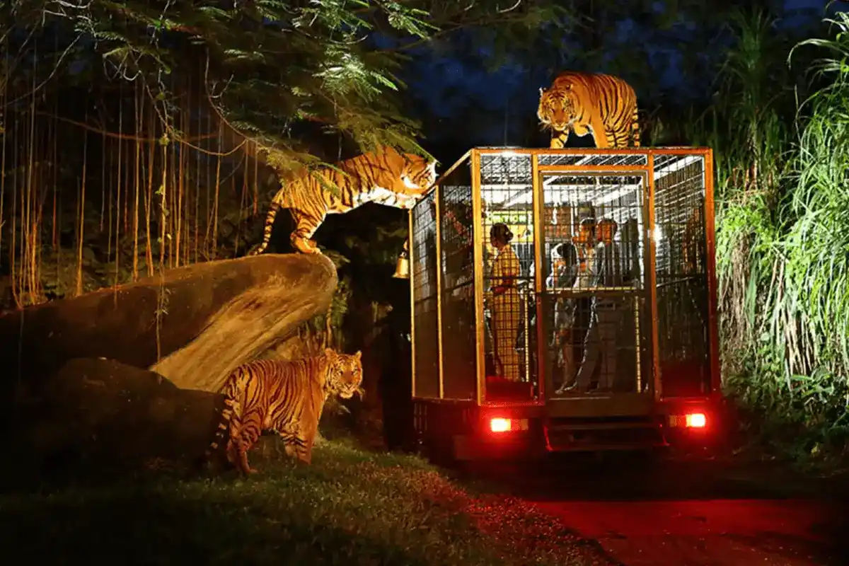 Bali Safari and Marine Park