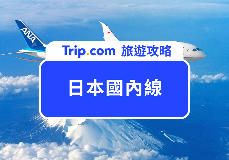 日本國內線