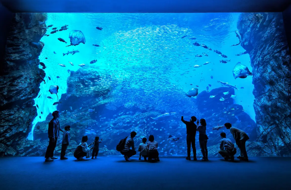 仙台朝市景點仙台海洋森林水族館