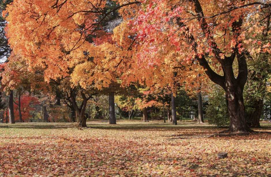 삿포로 가족 여행 명소