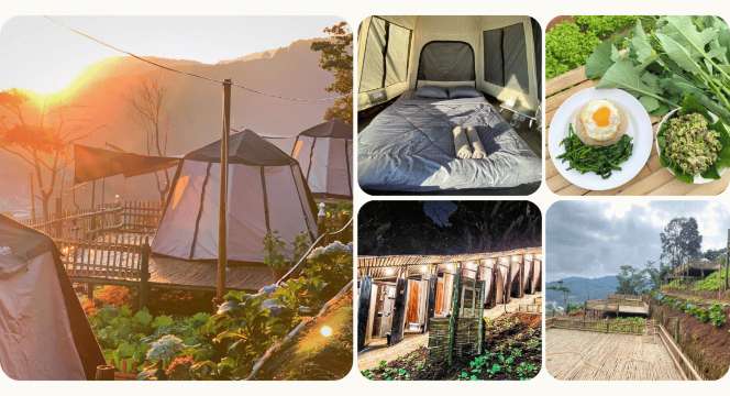 Inthanon camping farm - ลานกางเต็นท์ดอยอินทนนท์